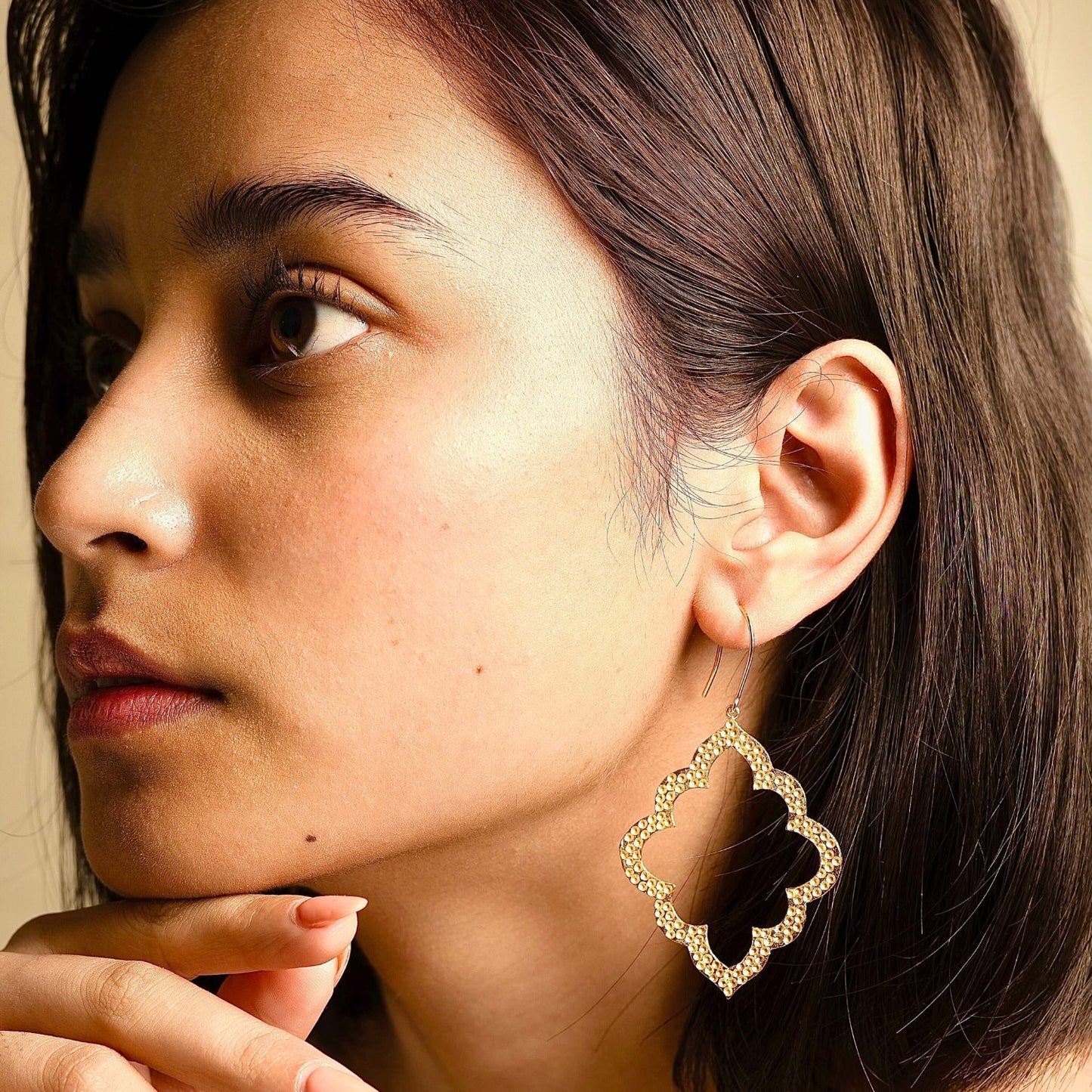 Jaipur Ashram Window Earrings - Limited Edition