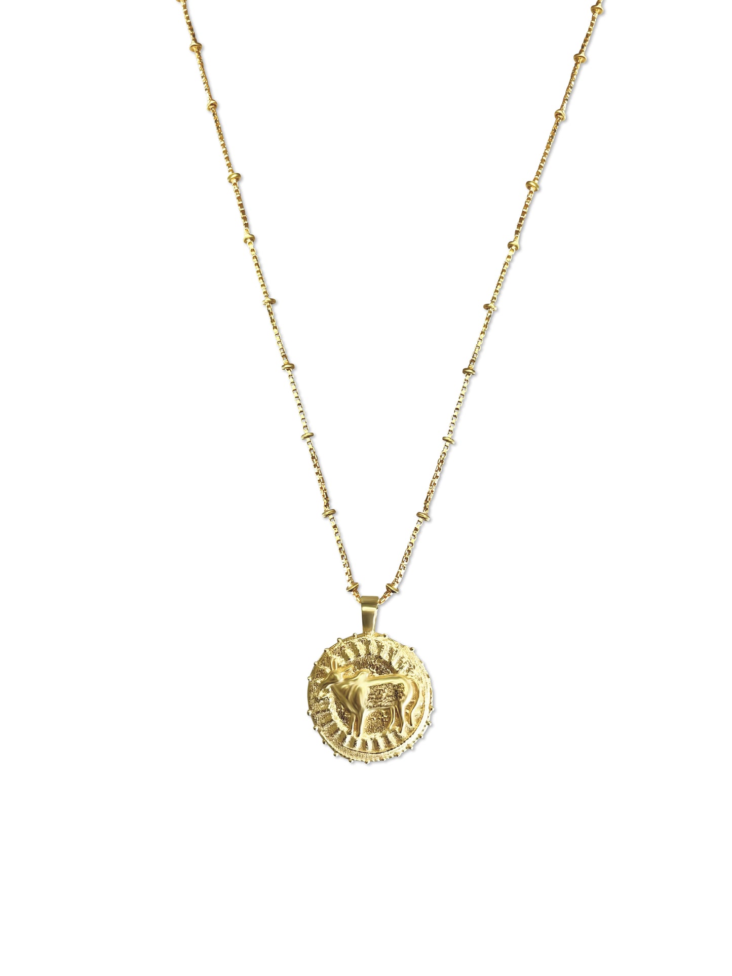 Zodiac Manifesting Necklace (double sided)