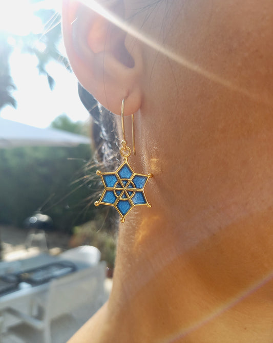 Meena Star Earrings