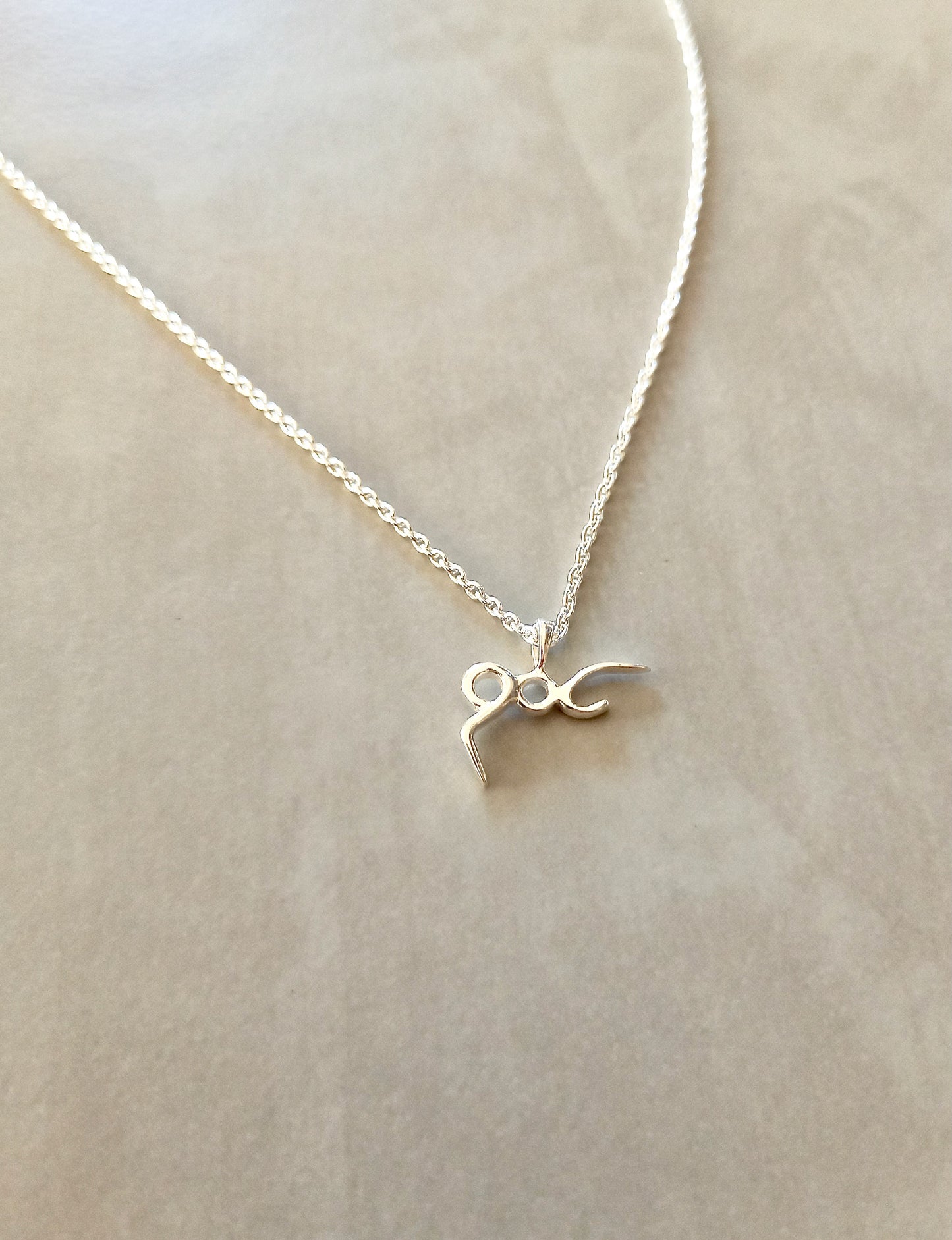 Sanskrit 108 Talisman Necklace