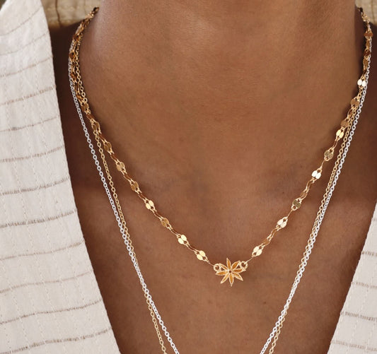 Star Anise Mirror Necklace