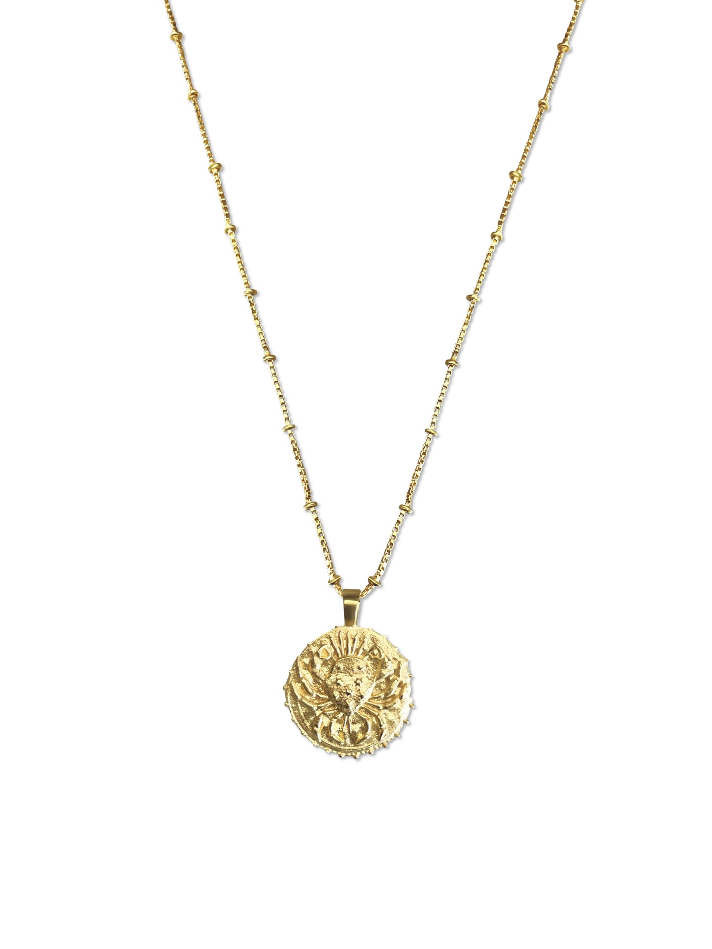 Zodiac Manifesting Necklace (double sided)