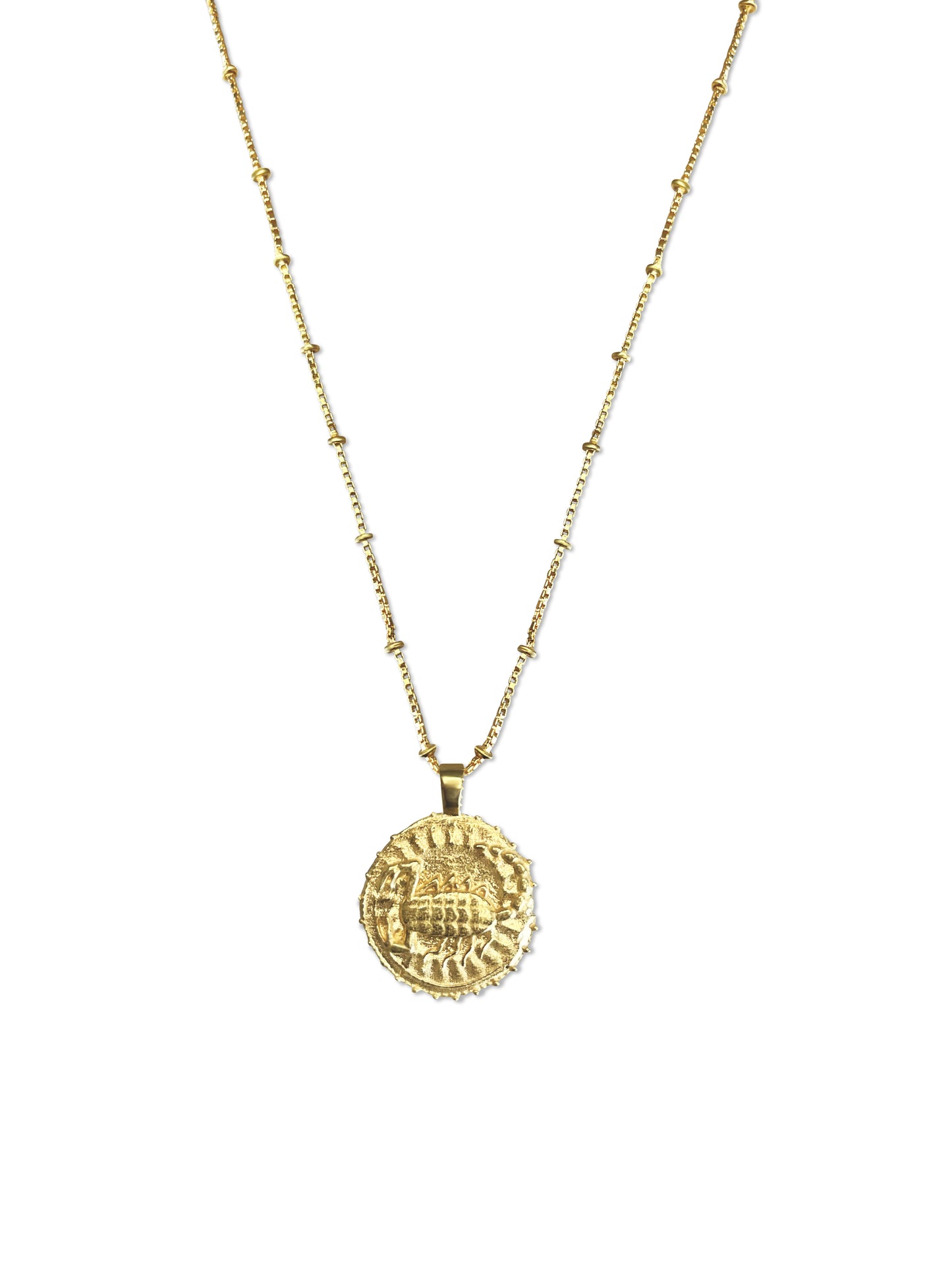 Zodiac Manifesting Necklace (double sided)